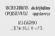 Bikems Modern Serif Typeface, a Serif Font by Alfinart (Thumbnail 8 of 10)