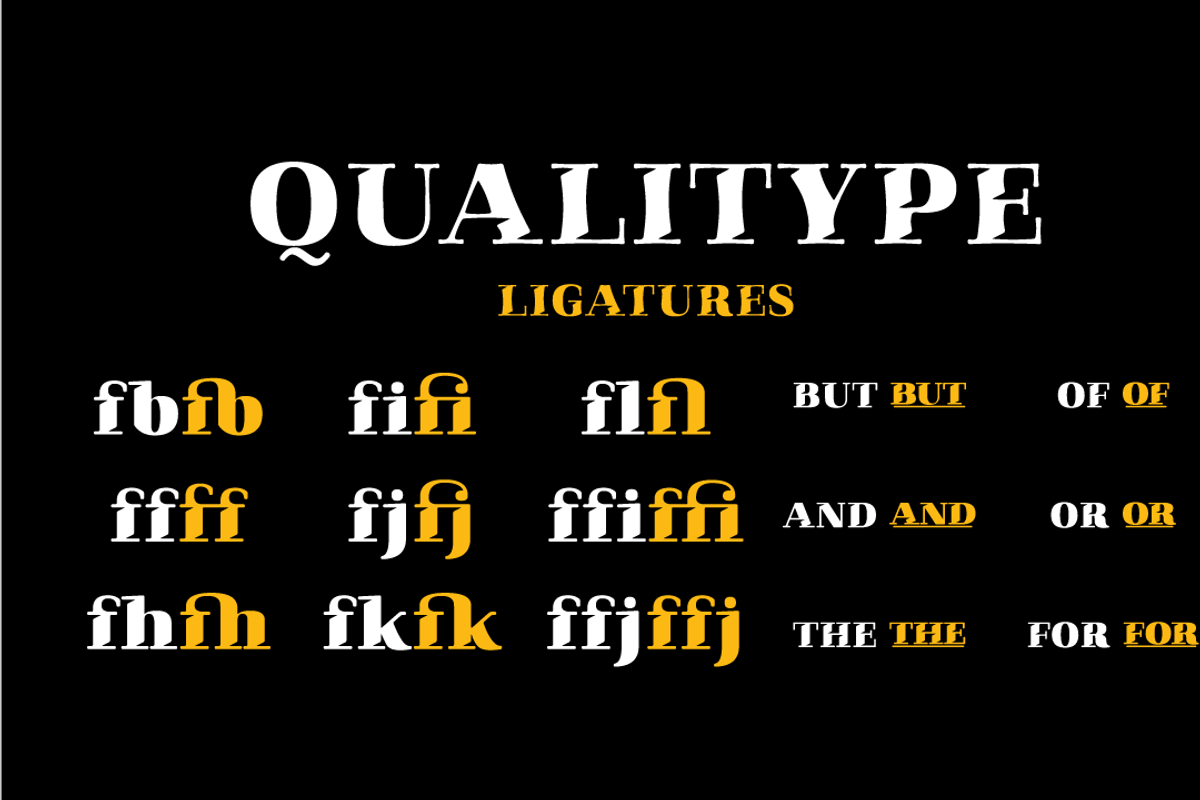Qualitype Variable Family, a Serif Font by BULENT YUKSEL (Photo 8 of 14)