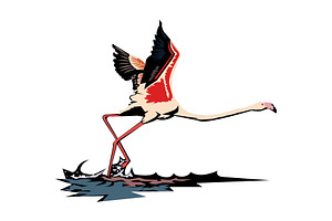 Greater flamingo vector illustration, an Animal Illustration by Sumberpangan
