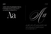 Reichamerina font family, a Serif Font by Ryul Davidson (Thumbnail 15 of 27)