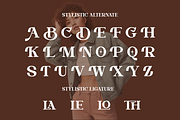 Diraline - Modern Serif Font, a Serif Font by RagamKata (Thumbnail 8 of 10)