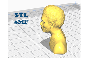 Famous Busts 3d Print Models