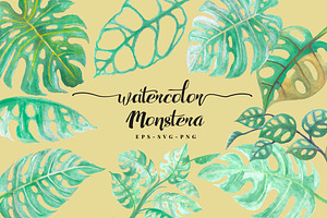 Watercolor Monstera - Tropical Plant