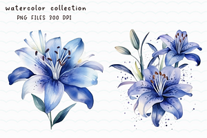 Lily Blue Watercolor Flowers