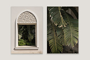 Feels Like Summer 5, a Beauty & Fashion Photo by Floral Deco (Thumbnail 3 of 7)