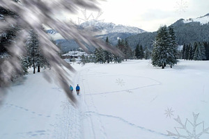Snow 2 Styles Transitions 2 AEP