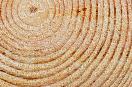 Wooden texture, an Abstract Photo by Serg64