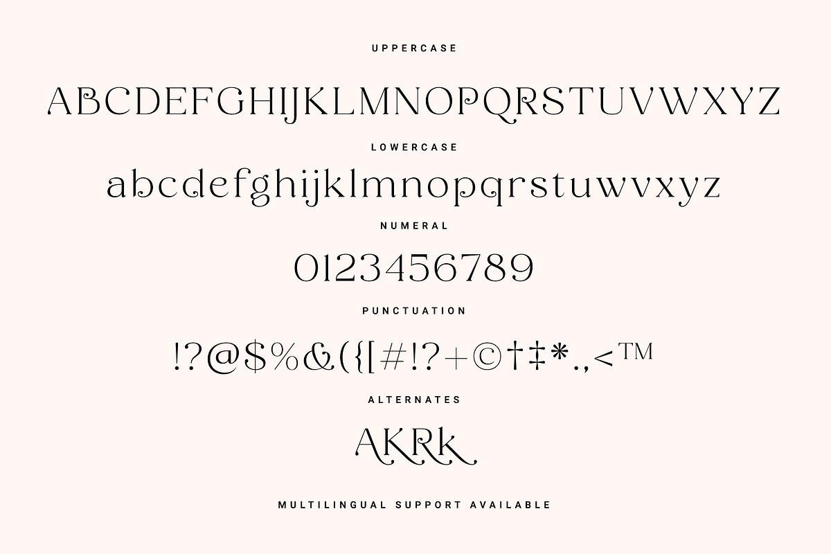 Cherla – Chic Serif Font, a Serif Font by Prioritype Co (Photo 10 of 11)