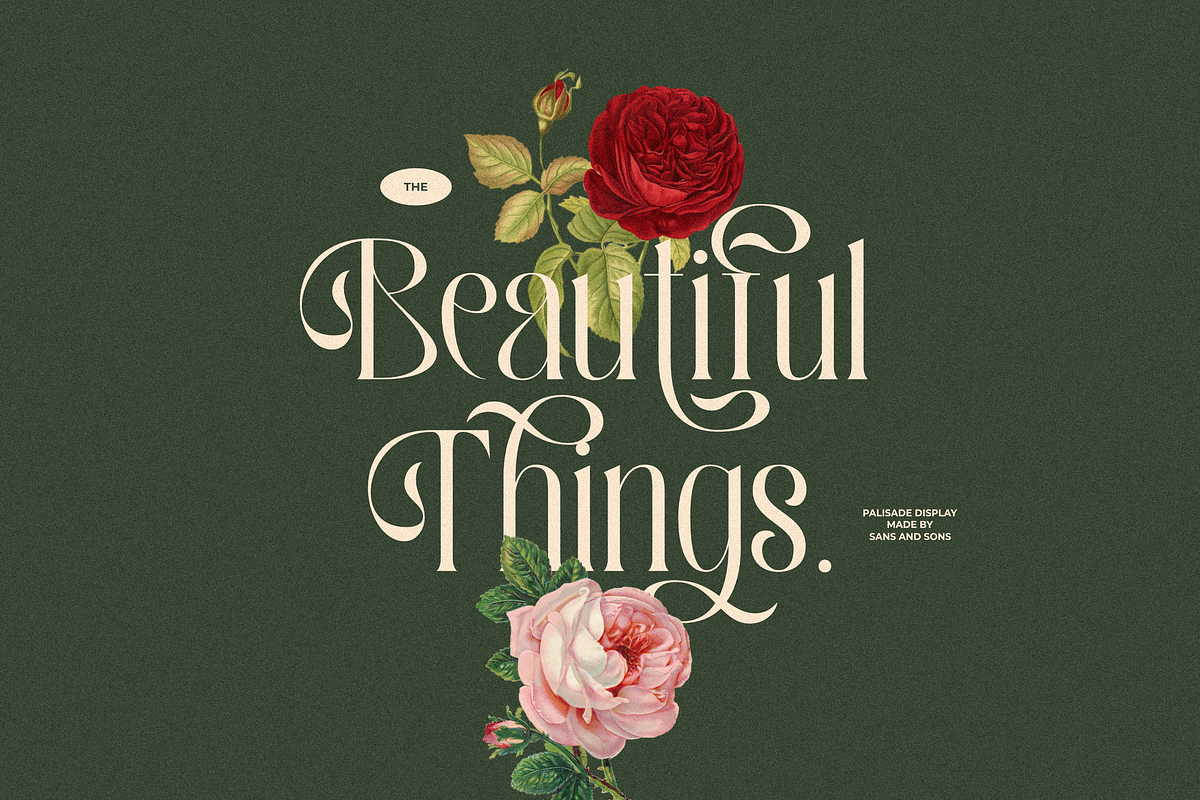 Palisade Display Font, a Serif Font by Sans & Sons (Photo 10 of 10)