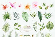 Tropical watercolor collection, a Decorative Illustration by ReachDreams (Thumbnail 3 of 6)