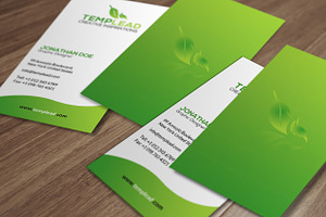 Corporate Business Card SE0261