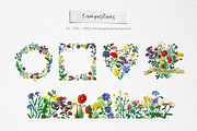Wild meadow flowers $ herbs, an Object Graphic by yttadesign (Thumbnail 12 of 17)