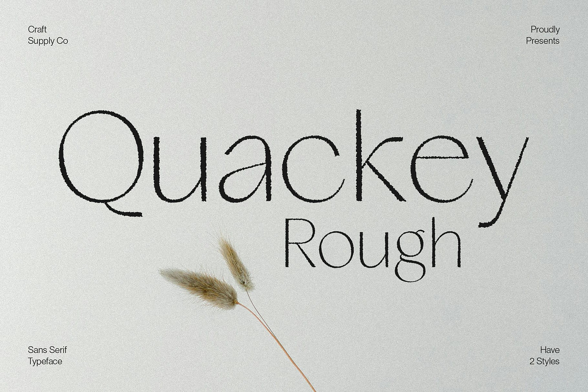 Quackey Rough, a Sans Serif Font by Craft Supply Co. (Photo 1 of 8)