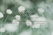 Silvam - Natural Backgrounds, a Background Graphic by Watercolor_Ma (Thumbnail 9 of 9)