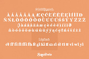 Saestwo - Playful Retro Serif, a Serif Font by SemutHitam Creative (Thumbnail 8 of 10)