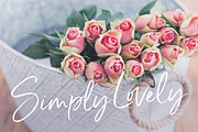 Serendipity Handwritten Font, a Script Font by Nicky Laatz (Thumbnail 8 of 18)