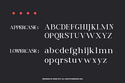 Rue Belle Editorial Serif Font, a Serif Font by Rasio Studio (Thumbnail 2 of 10)