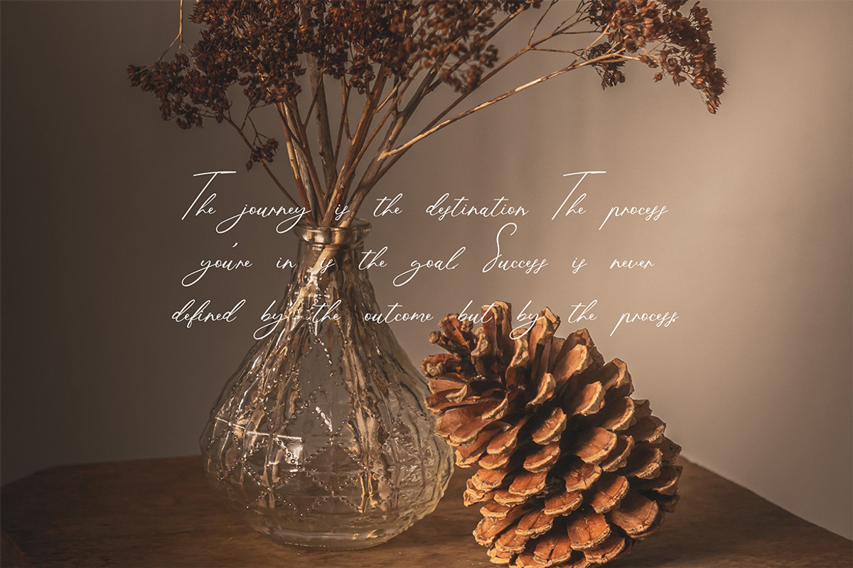 Catamount Signature Font, a Handwritten Font by UICreative (Photo 6 of 13)