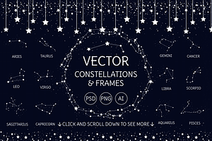 Vector Stars And Animals