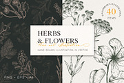 Herb & Flower Line Art in Vector, an Illustration by Manimanisa (Thumbnail 1 of 8)