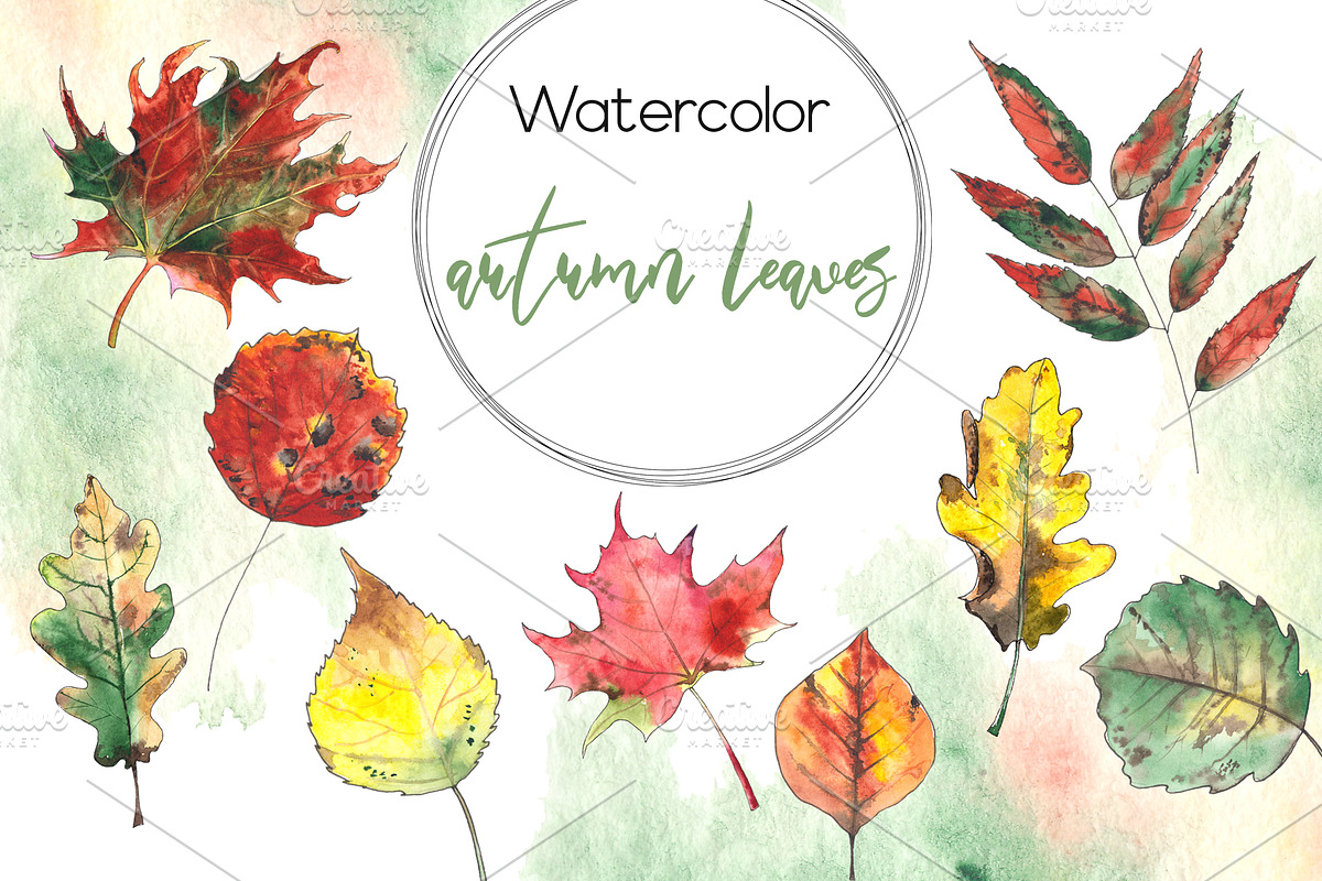 Autumn. Watercolor & graphic set, an Object Graphic by Ana-Sakuta (Photo 12 of 15)