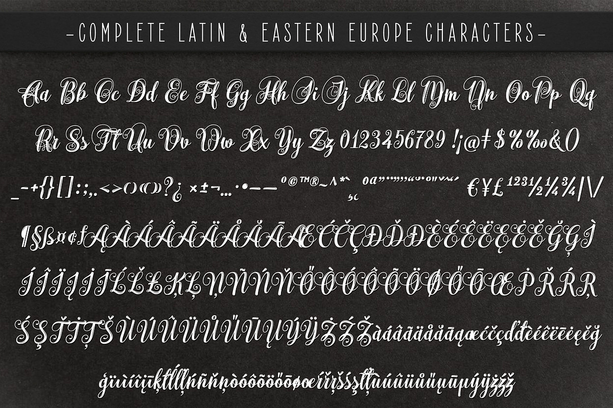 Monogram Script | Full Alphabet, a Script Font by Royaltype (Photo 12 of 12)
