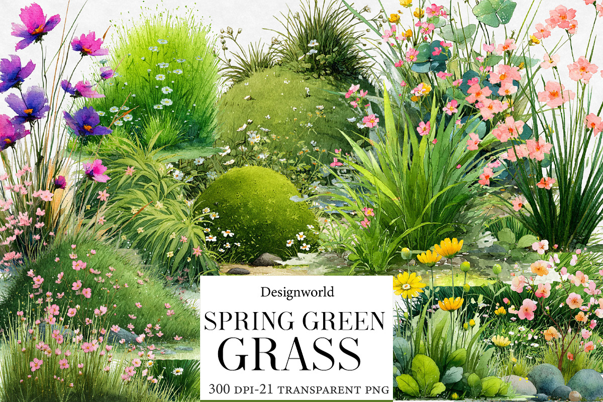 Spring Green Grass Clipart, an Illustration by Designworld (Photo 1 of 6)