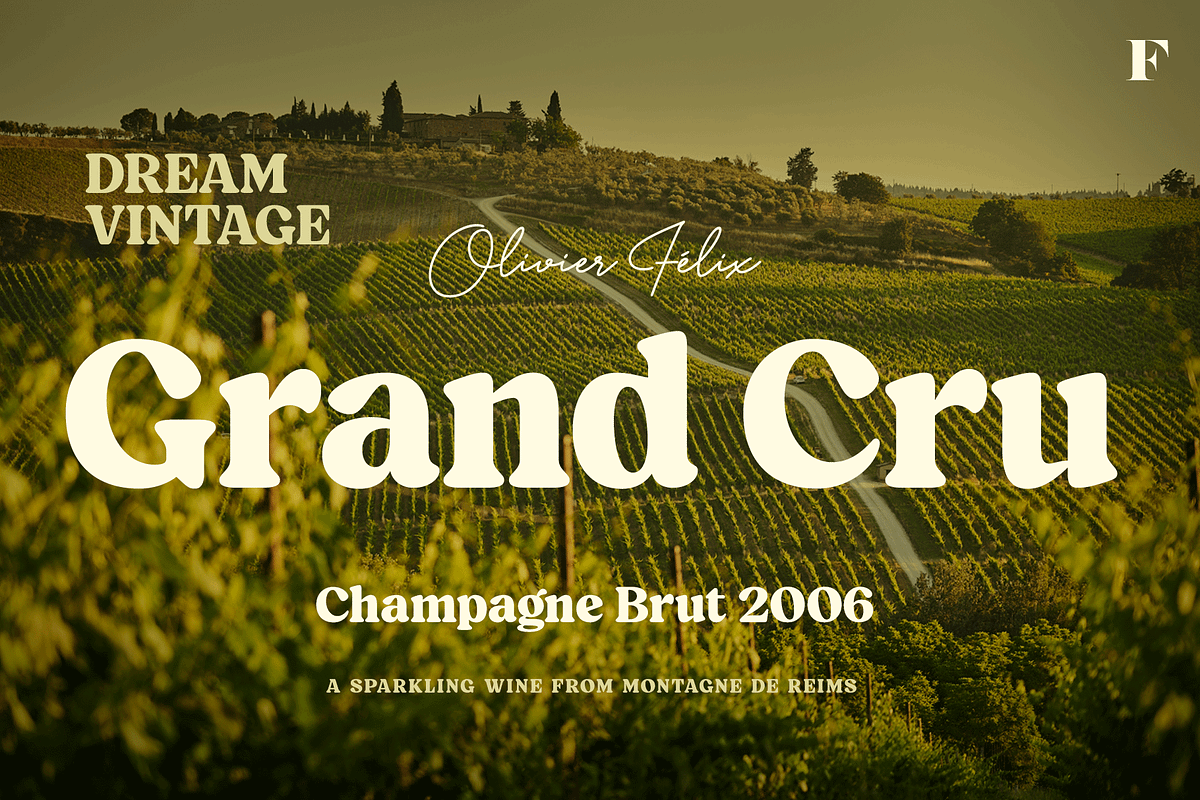 Blood Orange Vintage Serif, a Serif Font by Fenotype (Photo 14 of 16)