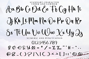 Chicago Downton, a Handwritten Font by FreshTypeINK (Thumbnail 3 of 6)