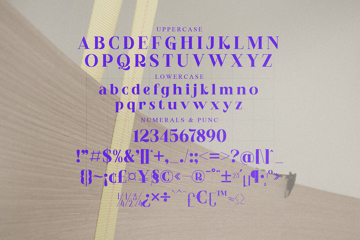 Reka Modern Display Font, a Serif Font by Storytype Studio (Photo 13 of 15)