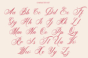Madwort - Elegant Script Font, a Script Font by Arendxstudio (Thumbnail 12 of 12)