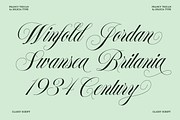 Francy Tiguan | Classy Script Font, a Script Font by Jolicia Type (Thumbnail 2 of 12)