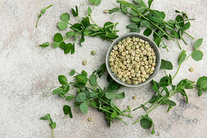Dried green peas in bowl with fresh pea shoots on marble backgro, a Food & Drink Photo by Olena Rudo