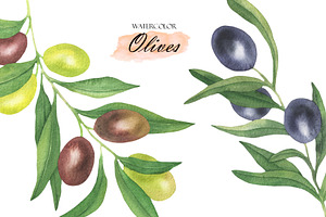 Watercolor Olive