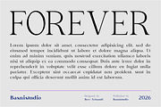 Delusion – Elegant Serif Font, a Serif Font by Basnistudio (Thumbnail 2 of 10)