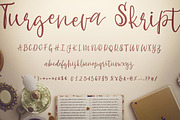 Turgeneva Font, a Handwritten Font by zao4nik (Thumbnail 4 of 20)