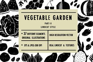 Vegetable garden II