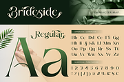 Brideside, a Serif Font by Burntilldead (Thumbnail 2 of 12)
