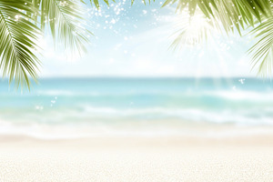 Blurred tropical beach with palm lea, a Photo by Dvoevnore photos