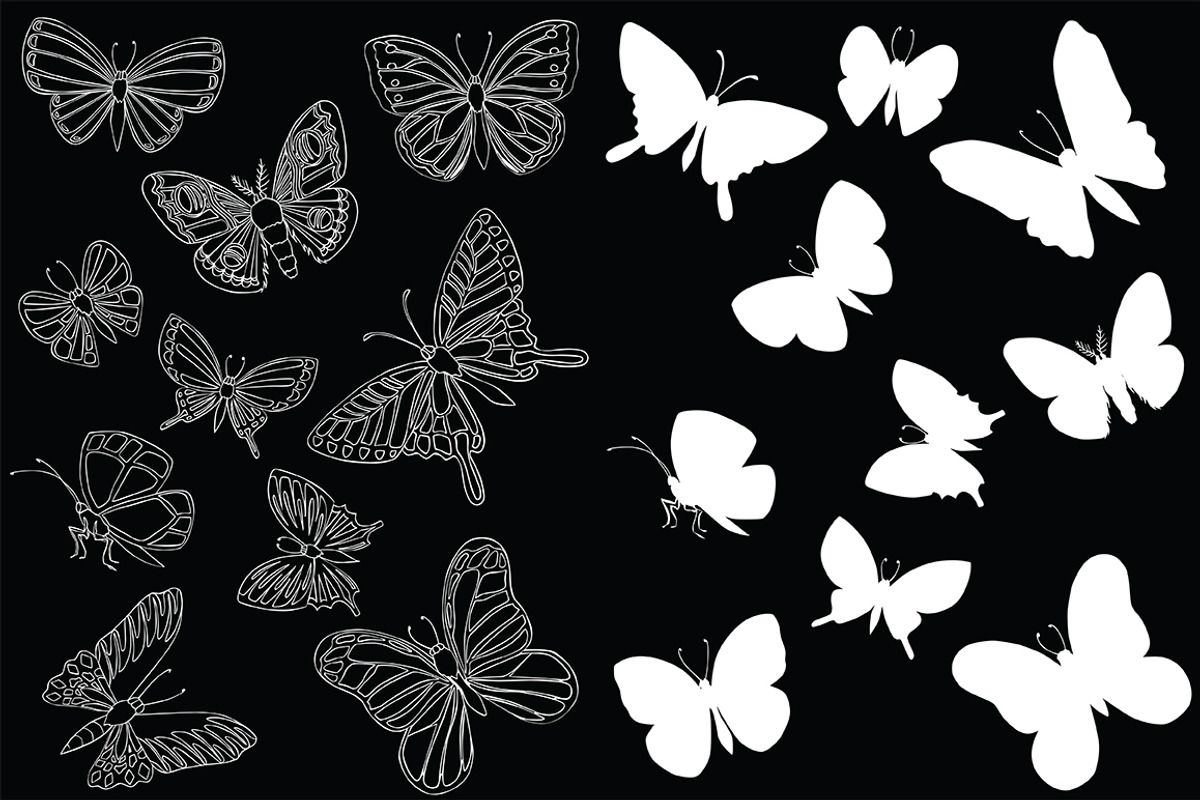 Vector illustration of butterflies, an Illustration by risovanya (Photo 2 of 3)