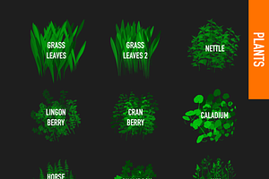 80 FOLIAGE BRUSHES FOR PROCREATE 5