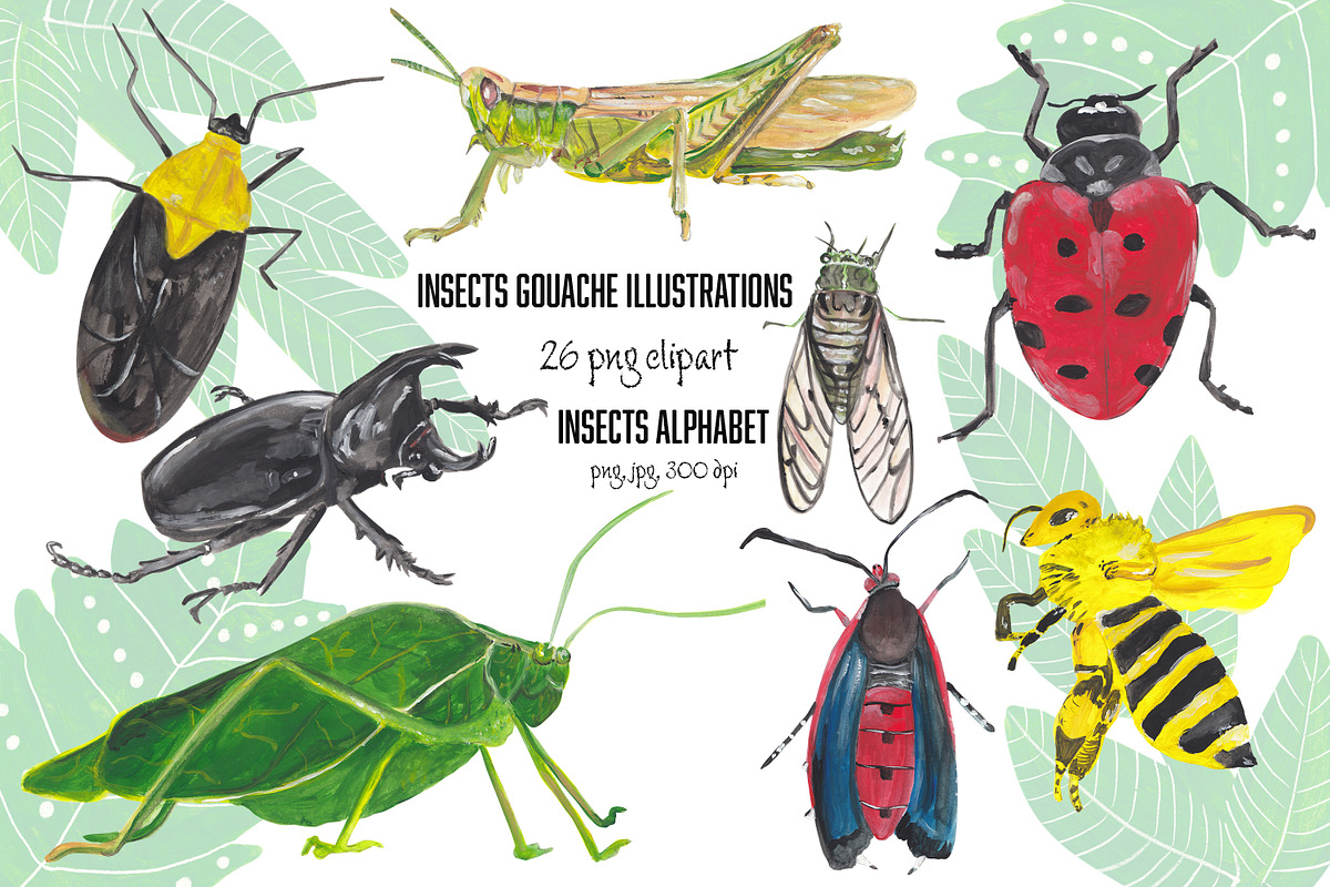 Insects Alphabet & clipart, an Animal Illustration by Visual Animal (Photo 1 of 5)
