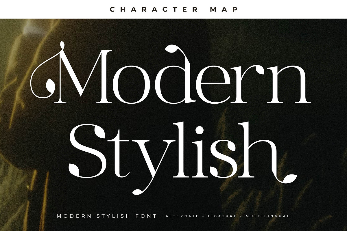 Maiken Modern Stylish Font, a Serif Font by Letterena Studios (Photo 4 of 15)
