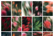 Drifting Blooms, a Background Graphic by Dina Mae (Thumbnail 12 of 12)