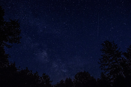 Shooting Star over Treeline