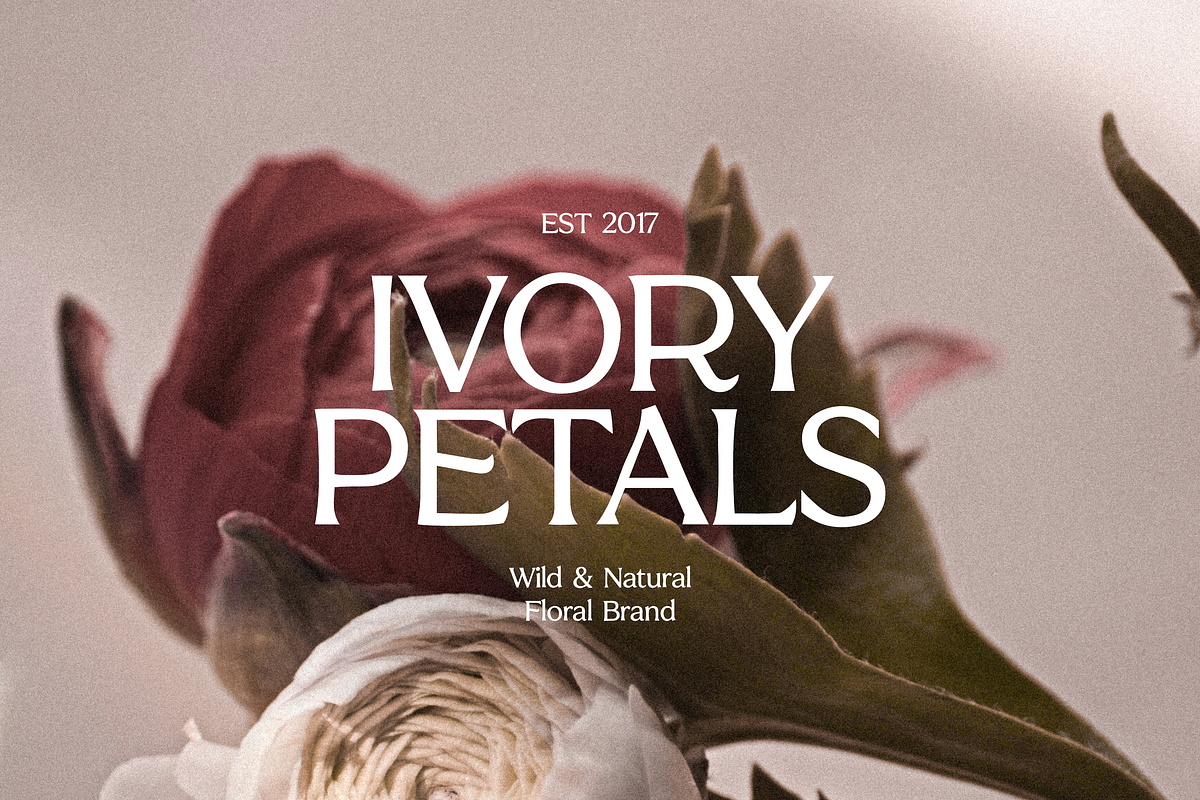 Figure Bold Serif Font, a Serif Font by gafaroff studio (Photo 2 of 6)