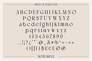 Montgrove - Ligature Serif Font, a Sans Serif Font by Surplus Type Co (Thumbnail 2 of 11)