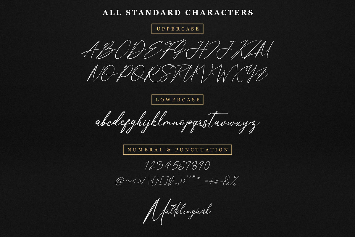 Anthoni Signature Script Font preview 8