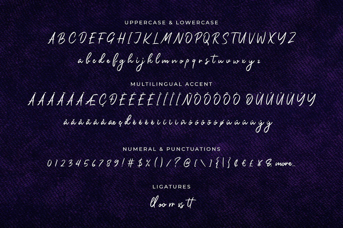 Orchide - Handwritten Brush Font, a Script Font by Almarkhatype (Photo 9 of 9)