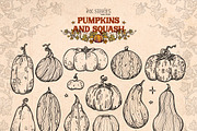 Pumpkins and Squash, a Seasonal Illustration by Ink Stories (Thumbnail 4 of 20)